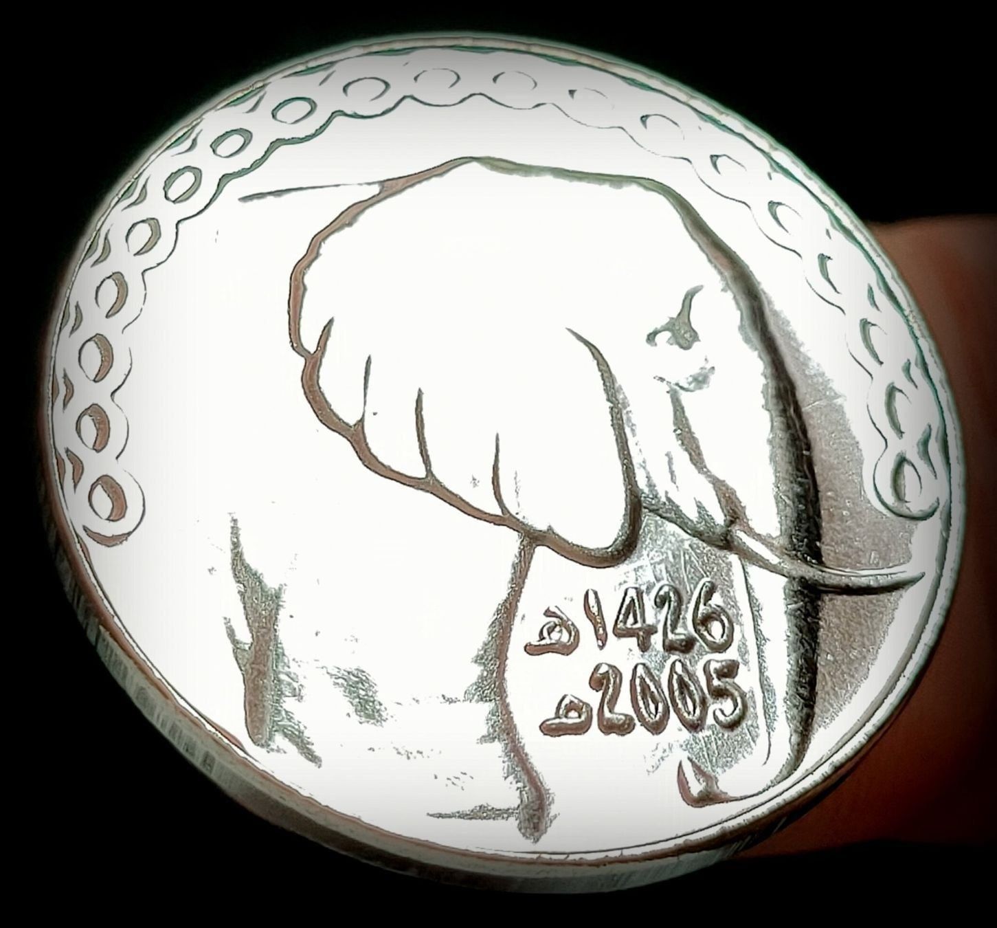 Alle Münzen: ALGERIEN 5 DINAR 1426/2006 – Gebraucht aus winterthur von CoinPassion