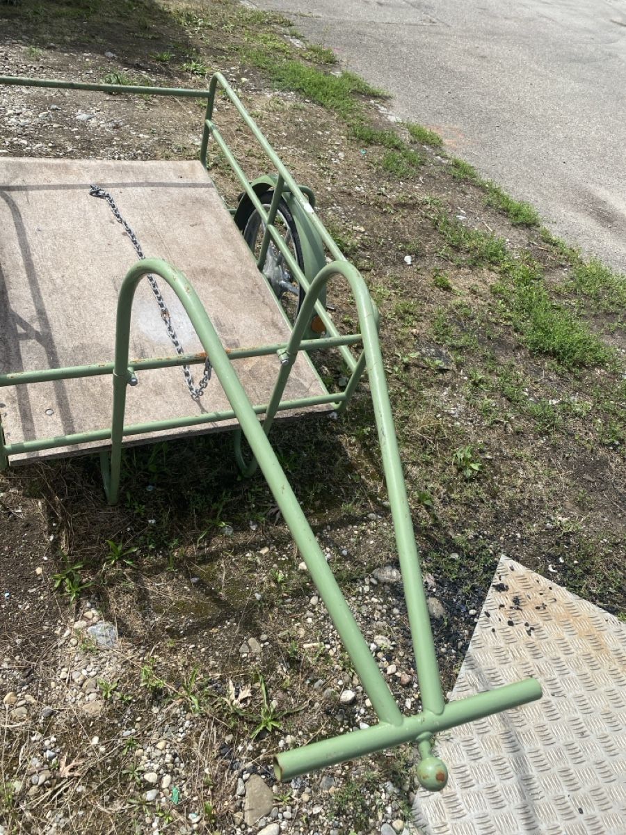 Anhänger: Velo anhänger gross – Gebraucht aus zürich von vivti 3