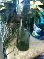 +  HyAziNten GLas  +