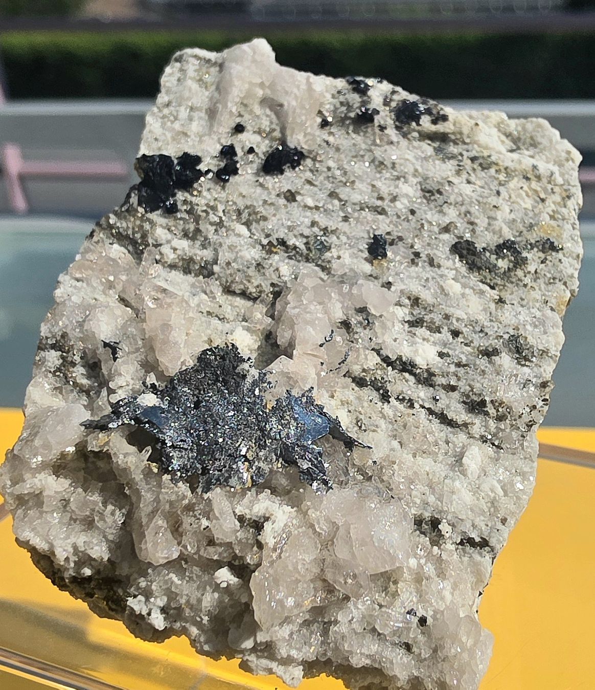 Minerali & Pietre curative: Cervandonit  weltweit extrem selten Wannigletscher Binntal – Usato da Glis venduto da nbu_65ys 7