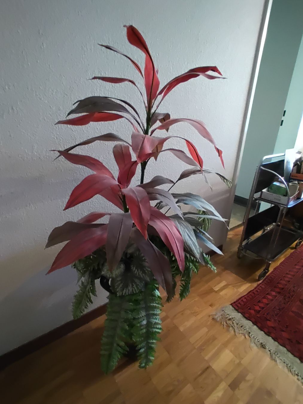 Alle Dekorationen: Deko Blumen und Pflanze – Gebraucht aus Wädenswil von fajadi 1