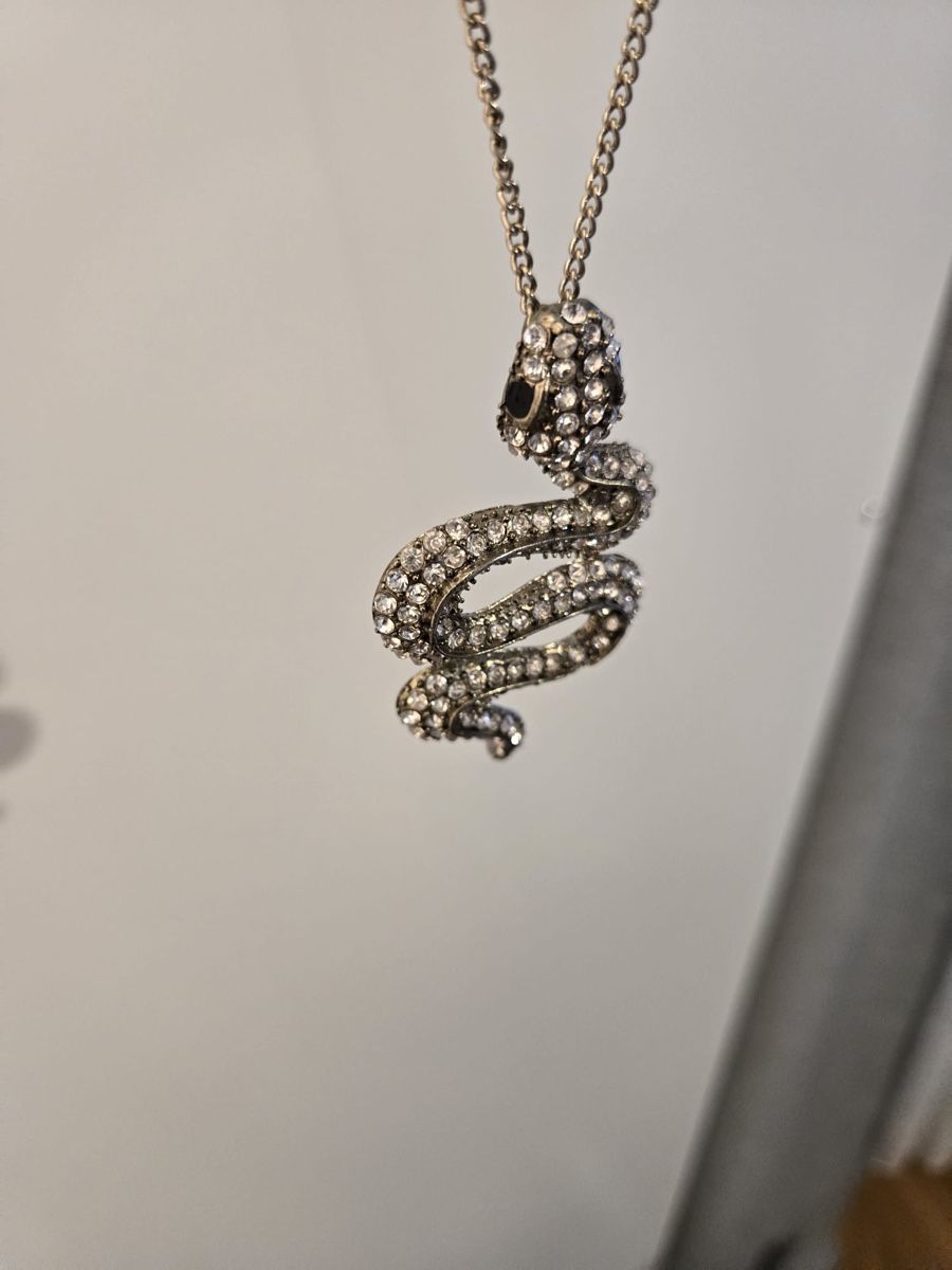 Ketten: Modeschmuck Schlange – Gebraucht aus Birrhard von kristiii 1