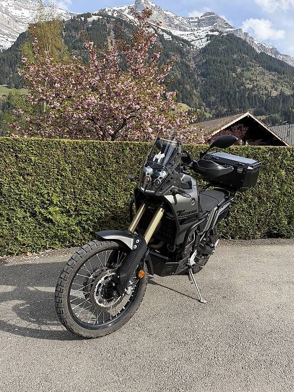 Enduro: Yamaha T 700  – Usato da Champéry venduto da ant_6m7n 2