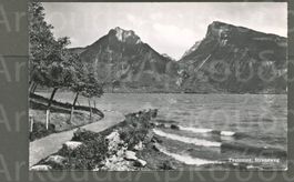 AK sw Faulensee BE Strandweg, Niederhorn, 14x9 ≈ 1959 