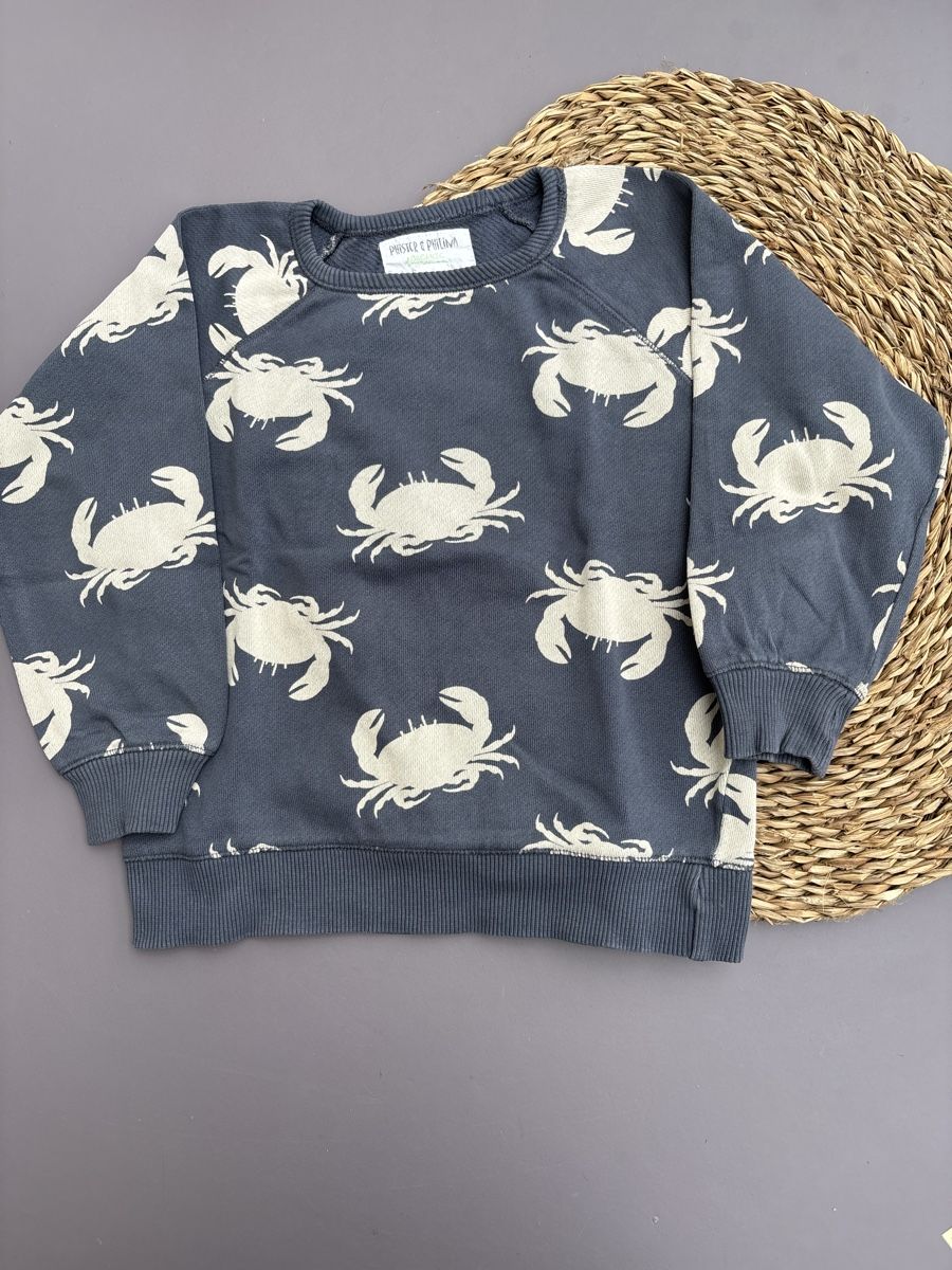 Maglioni & Felpe: Phister & Philina Sweater Gr 104 – Usato da Mörschwil venduto da Mibasel