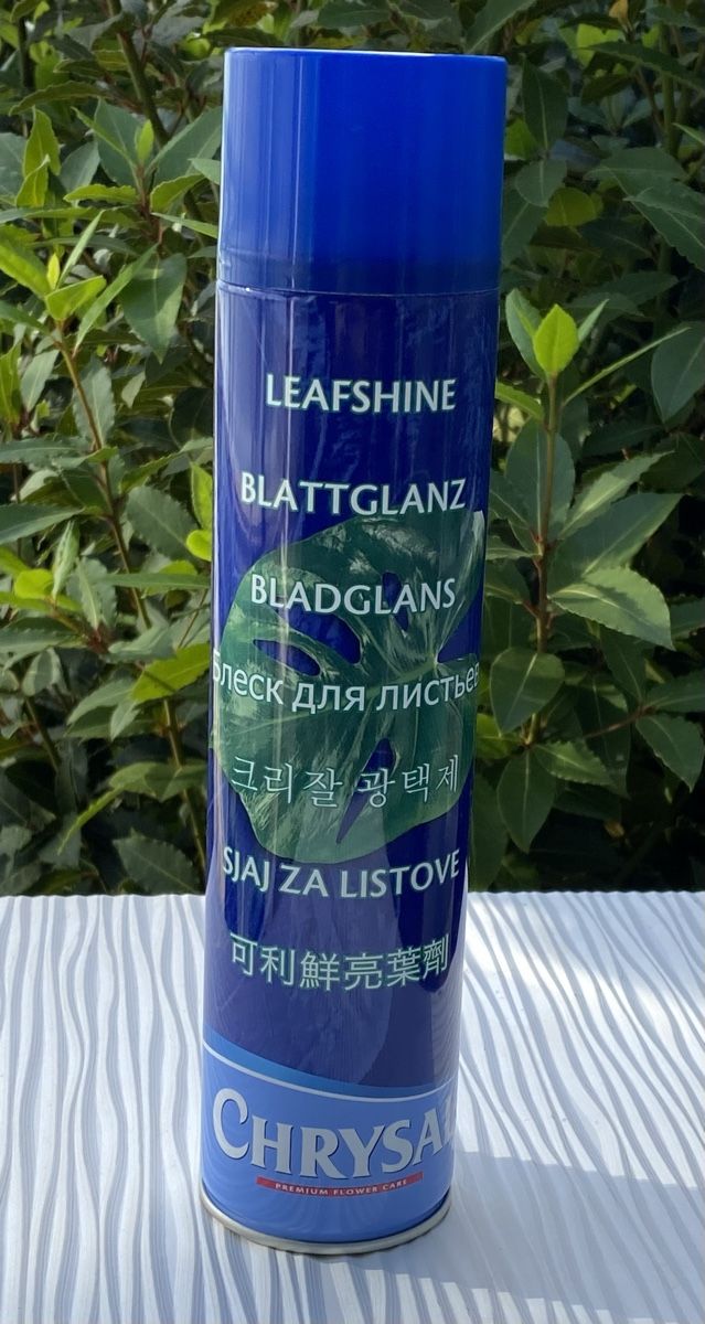 Prodotti di pulizia: Blattglanz Spray 600ml Professional – Nuovo e nell'imballaggio originale da Münchenstein venduto da sysenial