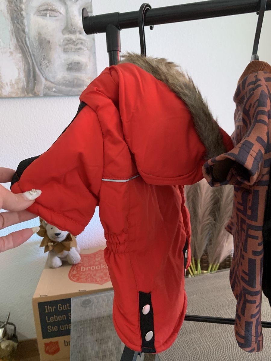 Bekleidung: Hundebekleidung Xl + XXL – Neu (gemäss Beschreibung) aus Emmenbrücke von Dior09 5