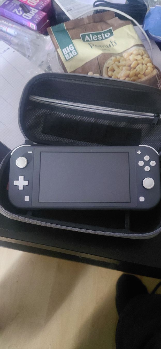 Nintendo Console: Nintendo Switch Lite Grau ohne ladengerät – Usato da Lichtensteig venduto da pas_7sdz 1