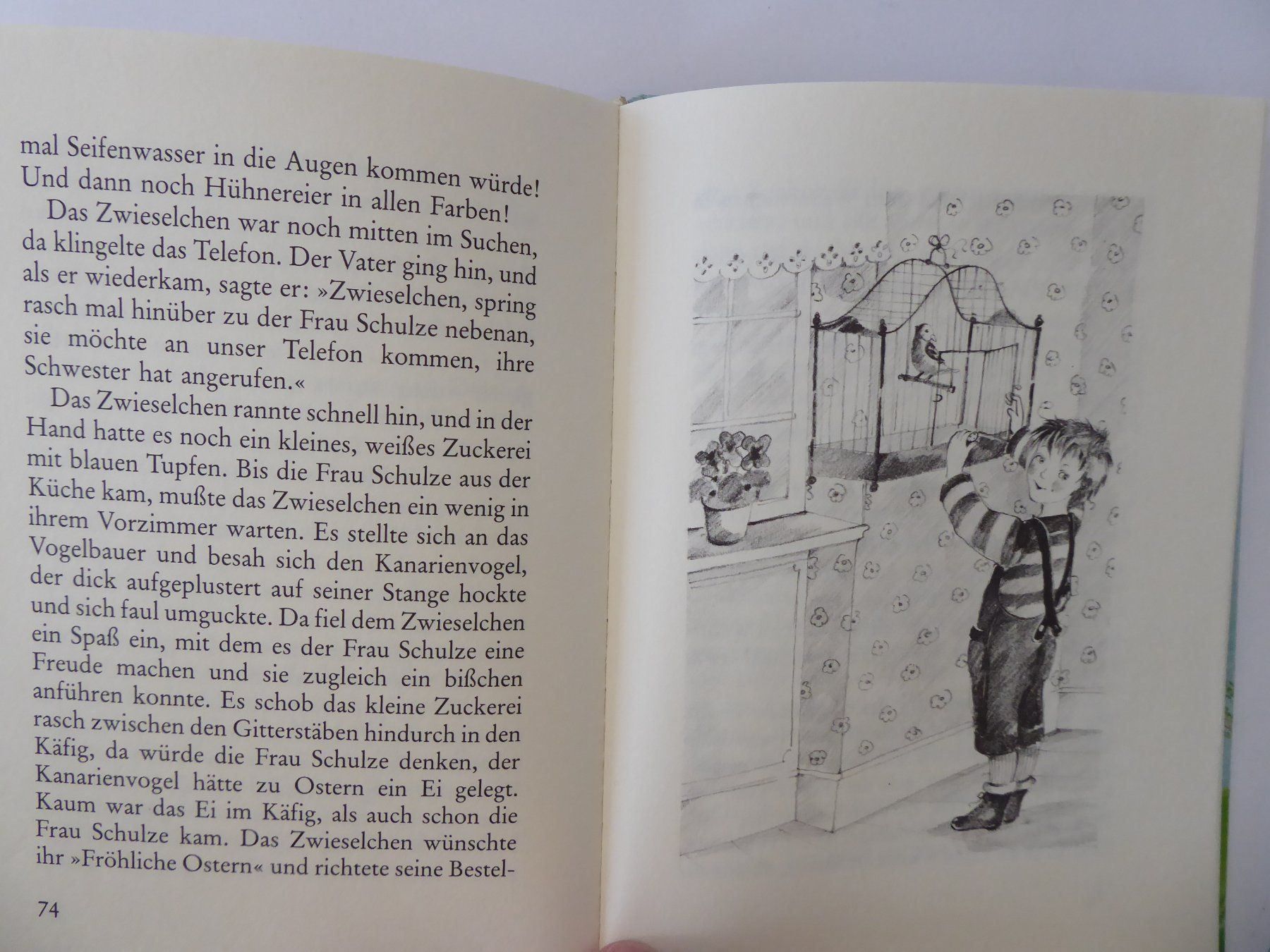 Libri: Zwieselchen und der Osterhase, neuwertig – Nuovo (secondo la descrizione) da Turbenthal venduto da Panau 4