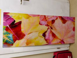 Bild unter Glas mit Halterung, 125cm x 50cm