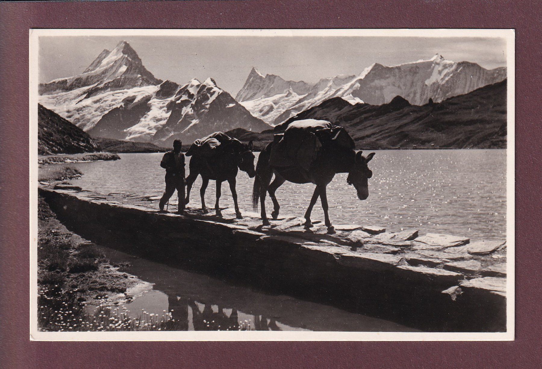 Cartoline postali: BACHALPSEE - Faulhornpost – Usato da Pully venduto da nicecards