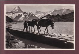 BACHALPSEE - Faulhornpost