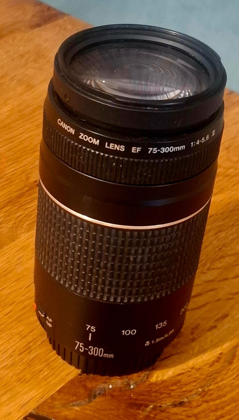 Canon Objektive: OBJEKTIV CANON – Gebraucht aus Fällanden von MarioKaeffer 2