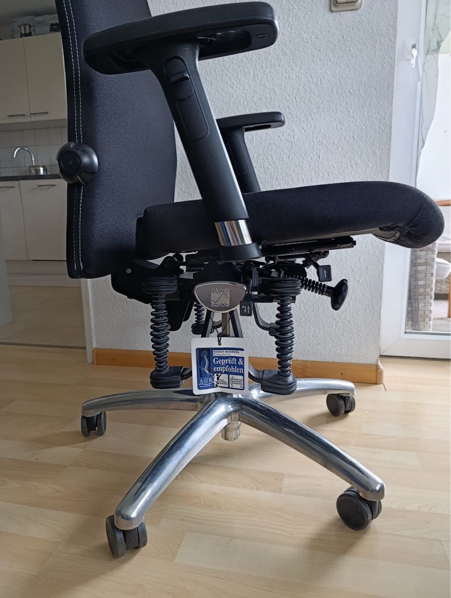 Sedie: Orthopädischer Bioswing Bürostuhl – Nuovo (secondo la descrizione) da Basel venduto da ste_jr9g 1