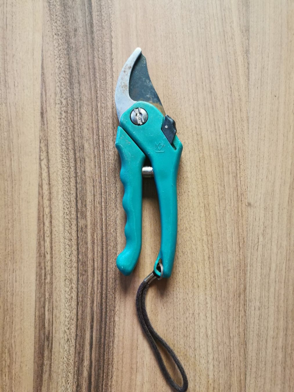 Tous les outils: Gartenschere – D'occasion à Glattfelden par sut_q8d2