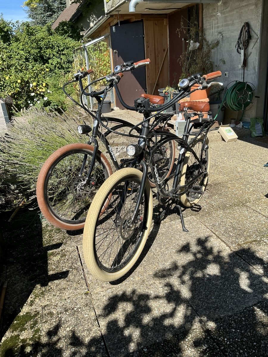 Biciclette: Ebike, Cruiser – Usato da Nussbaumen TG venduto da Hejo1 2