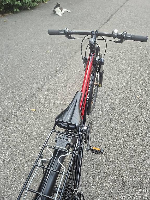 Velos: Kinder Velo Specialized Hotrock 24" – Gebraucht aus Lyss von tgl_lyl8 3