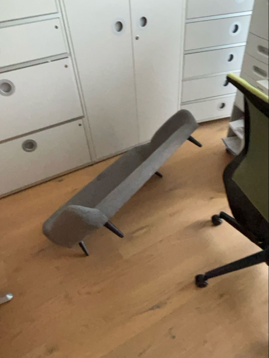 Divani: Hundesofa – Usato da Kehrsatz venduto da luna_44 2