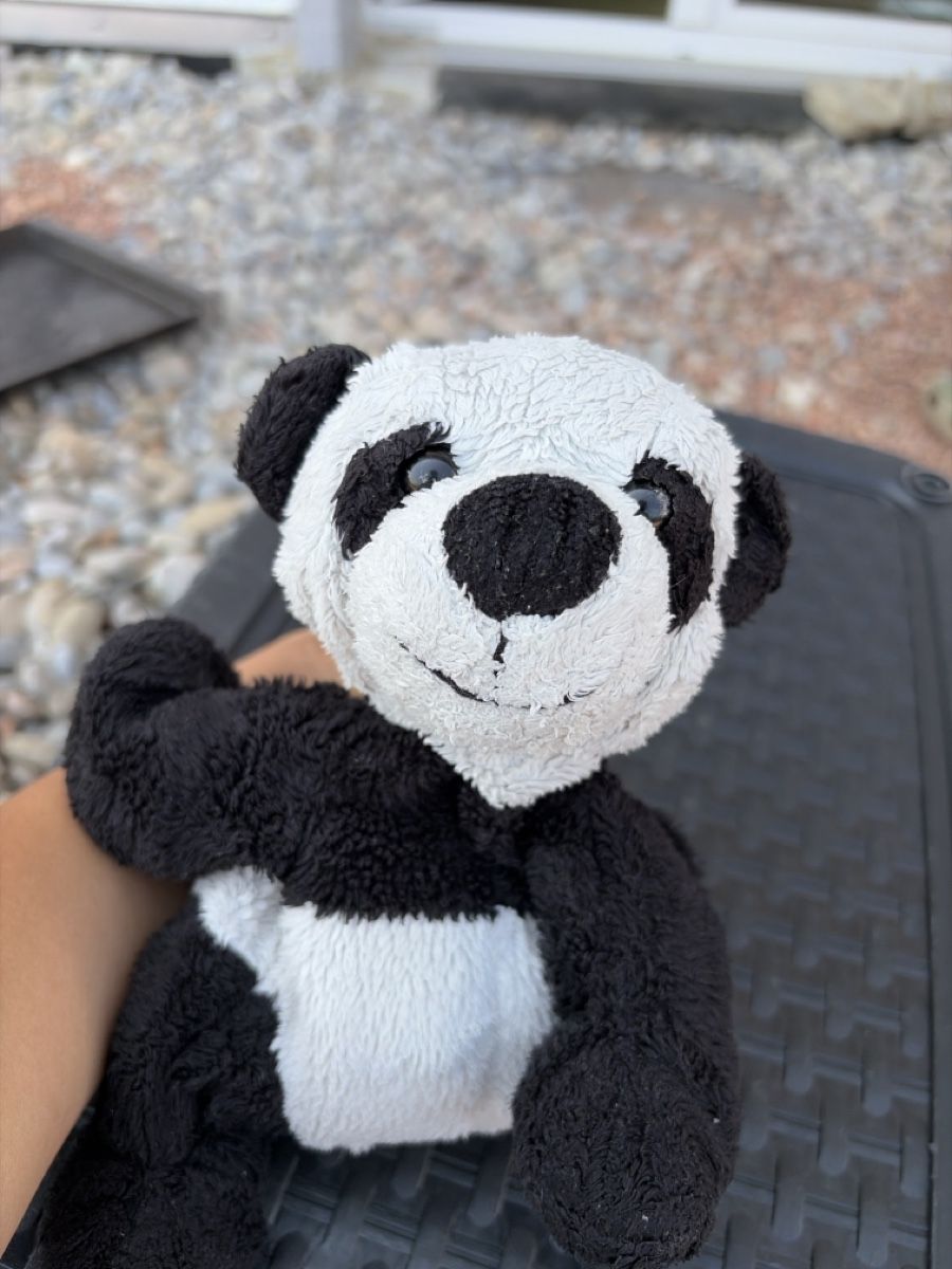 Jouets: Stofftier Panda guter Zustand – D'occasion à Opfershofen TG par dan_nxk8 2