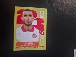 Panini WM 26 TUN 9