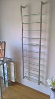 Schmales Glas-Wandregal / Vitrine