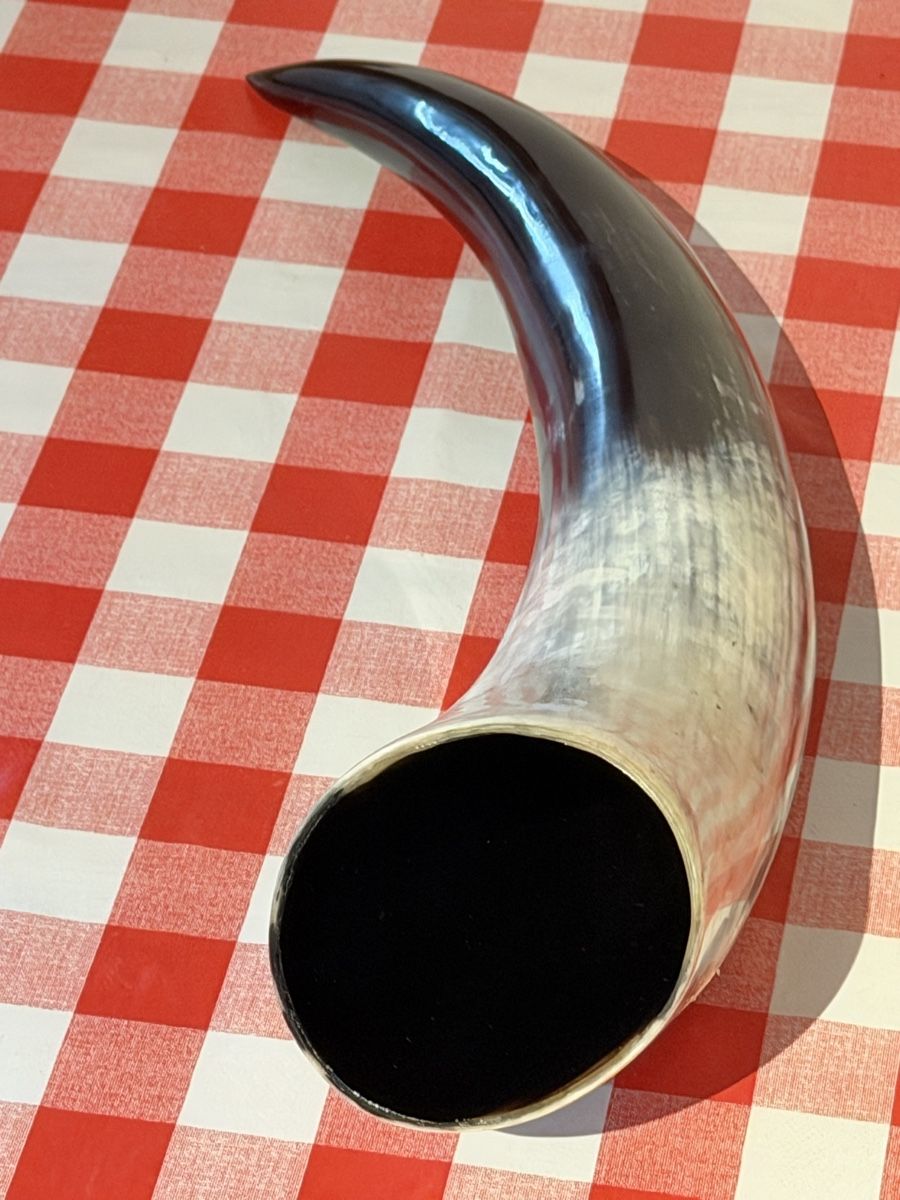 Alle Dekorationen: Corne à boire 45cm – Gebraucht aus Villarimboud von Beowulf1691 2