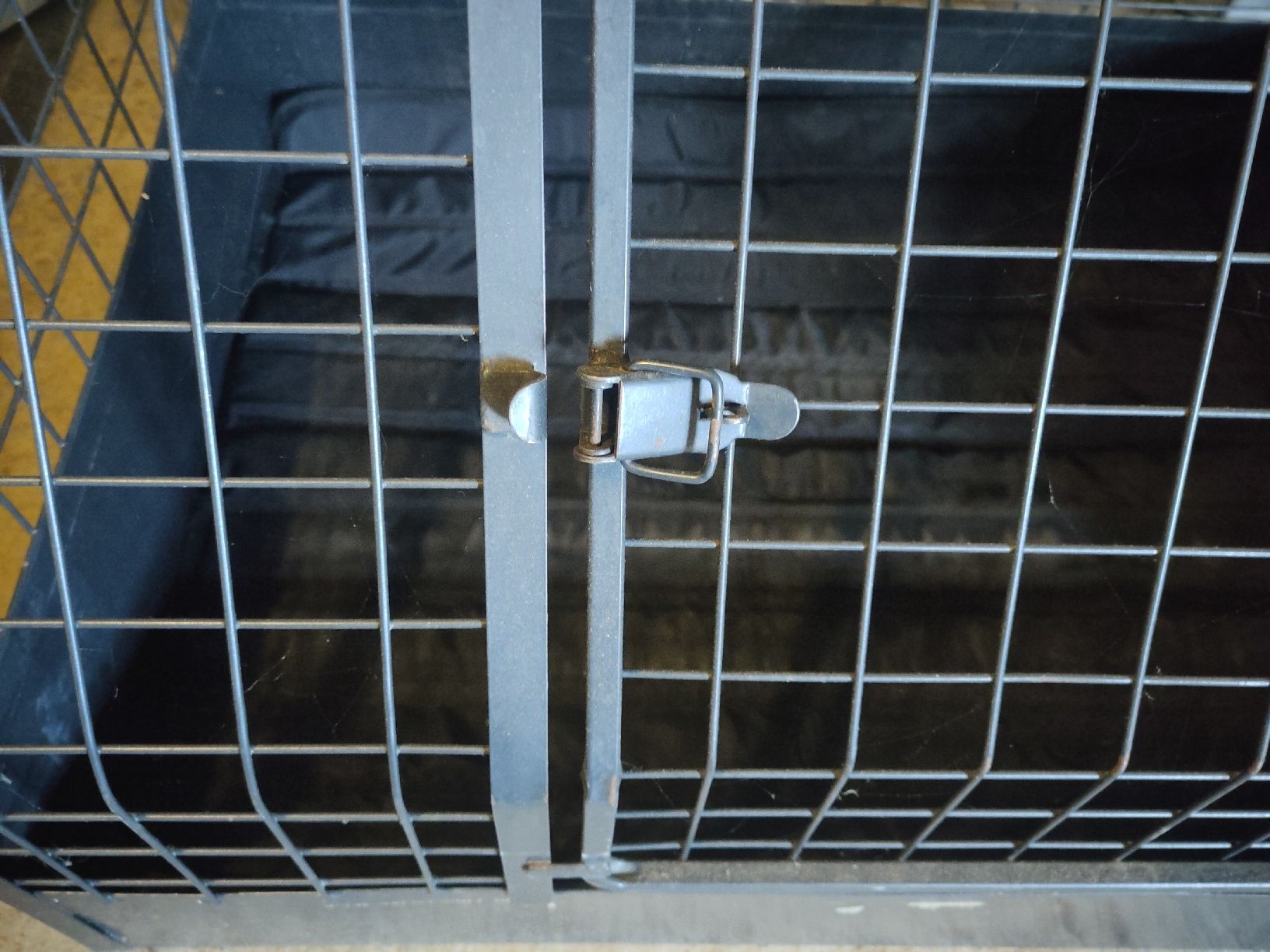 Meiko Gabbie, trasporto & Sicurezza: Meiko Hundebox Auto – Usato da Bern venduto da lis_q656 2