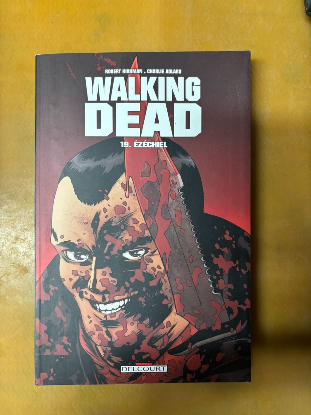 BD: Walking Dead BD no19 – D'occasion à fey par Caductilometre