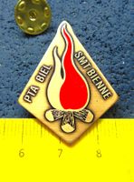 PFADI PIN PTA BIEL UND SMT BIENNE SCHWEIZ