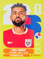 Panini FIFA World Cup PAN 11