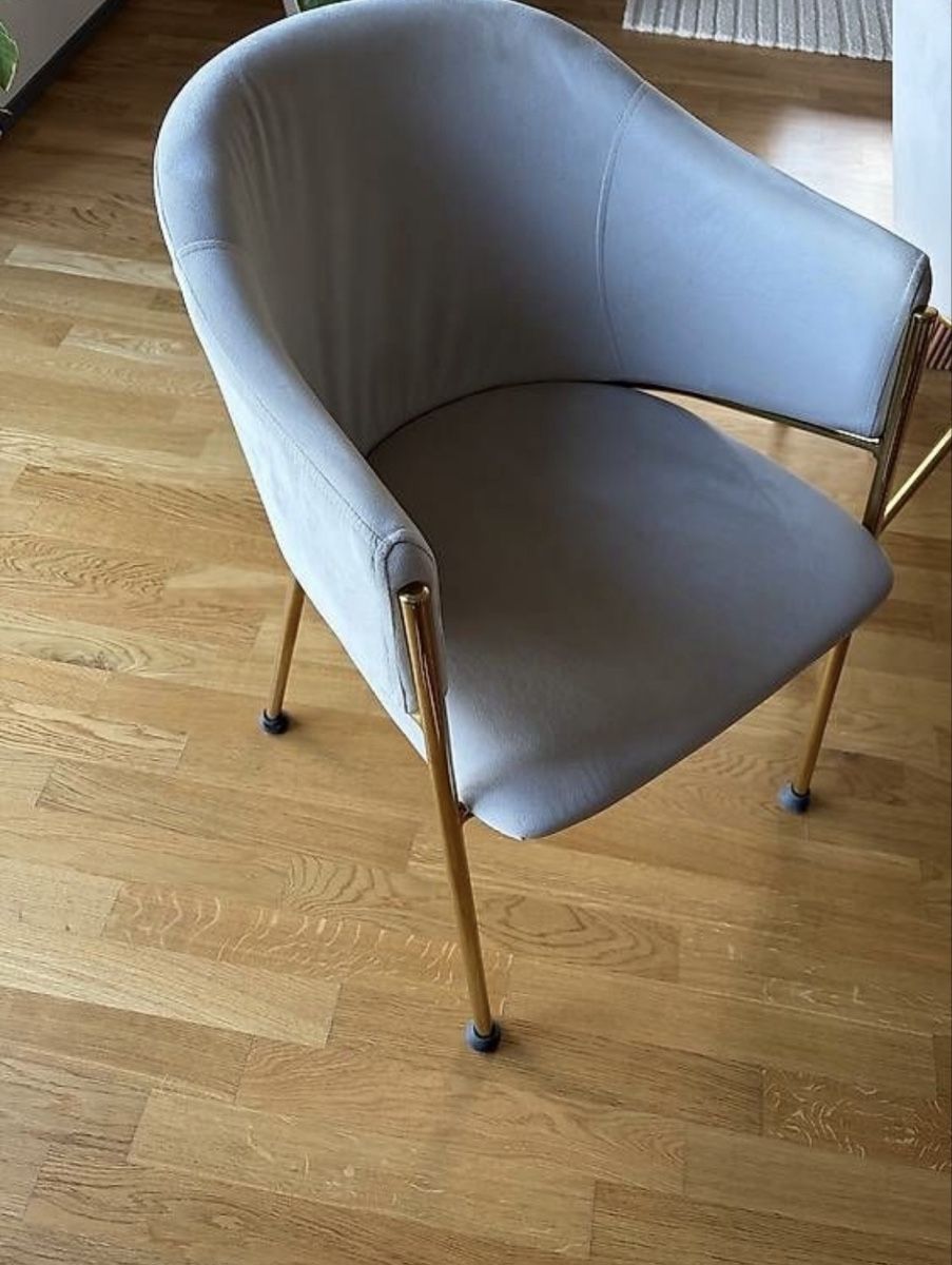 Sedie: 6 Samtstühle beige – Nuovo (secondo la descrizione) da Wädenswil venduto da sinuuro 1