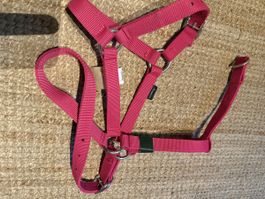 Pferdehalfter Reitzaum Zaumzeug Fouganza pink