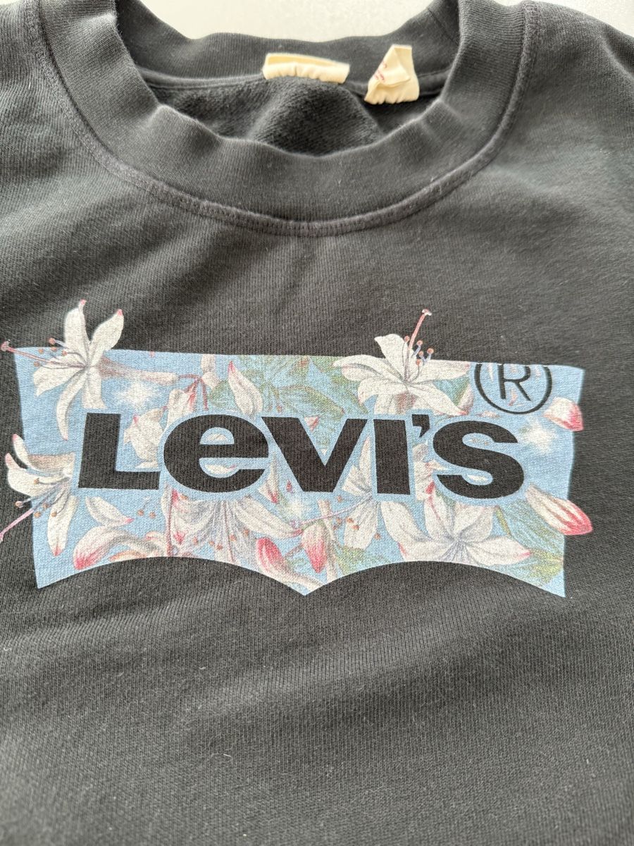 Levi's Maglioni & Felpe: Levis 🪷 Pullover L  – Usato da Gränichen venduto da pellegrino333