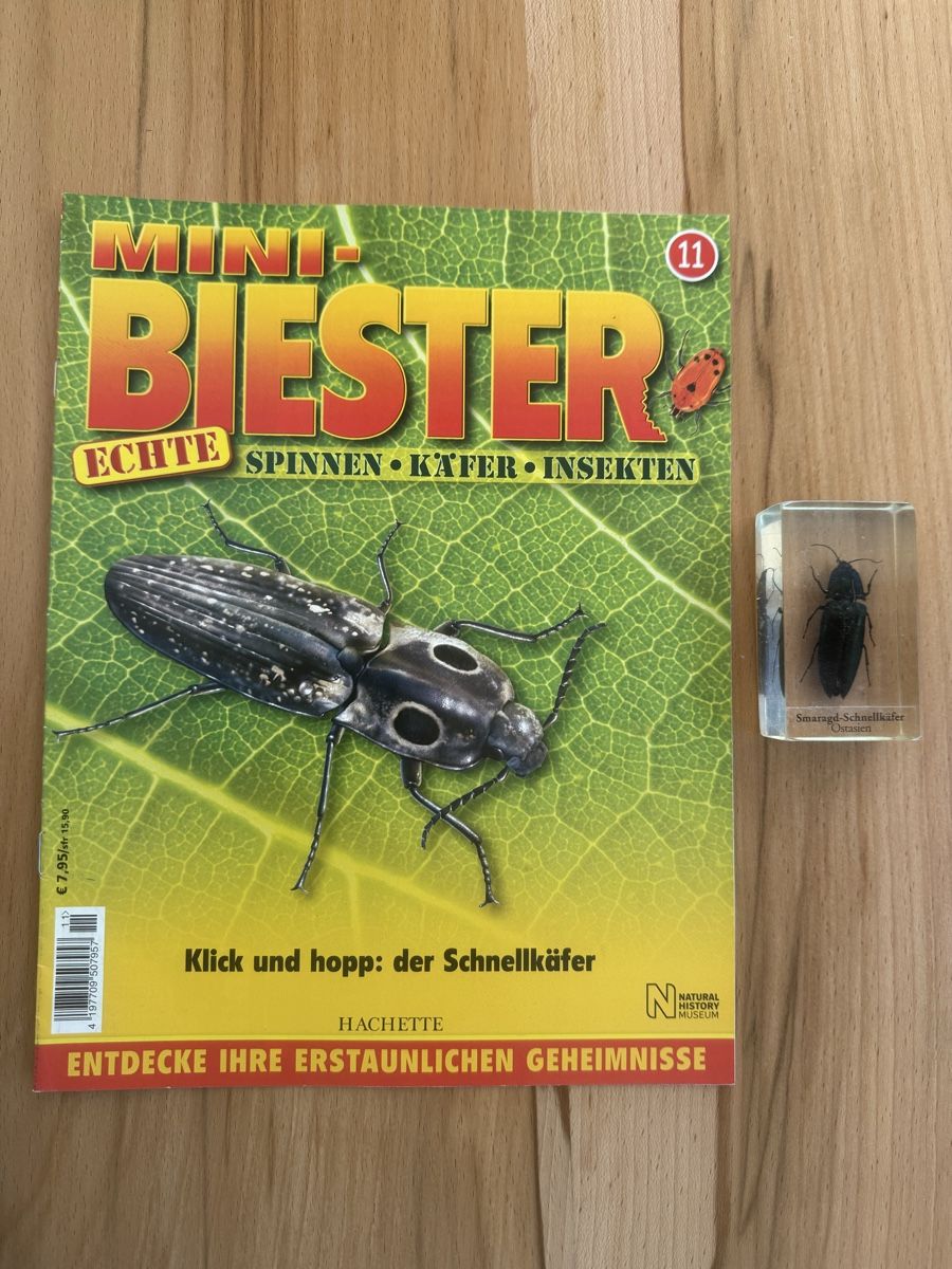 Zeitschriften & Magazine: Mini Biester Heft und Block Nr. 11 – Gebraucht aus Grenchen von Bastet007