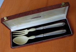 ORBRILLE- SALATBESTECK