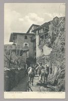 VERNATE, SCHMIDHAUSER MAGLIASO N°497