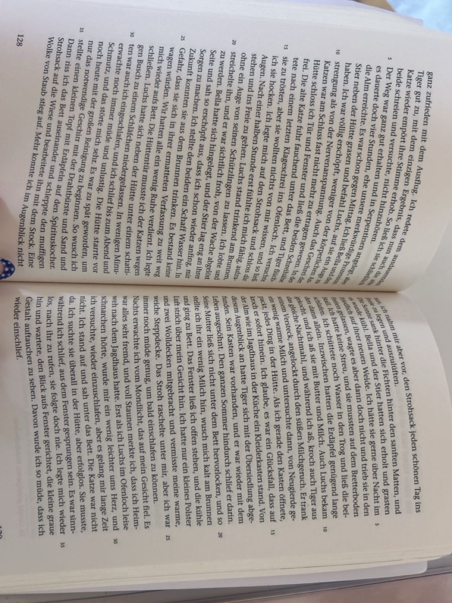 Libri: Die Wand (Marlen Haushofer) – Nuovo (secondo la descrizione) da Ins venduto da ile_gtn9 2