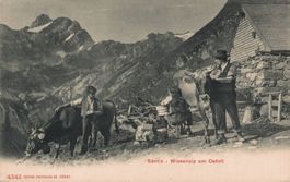 Alte Ansichtskarte Säntis - Wiesenalp am Oehrli, Älpler
