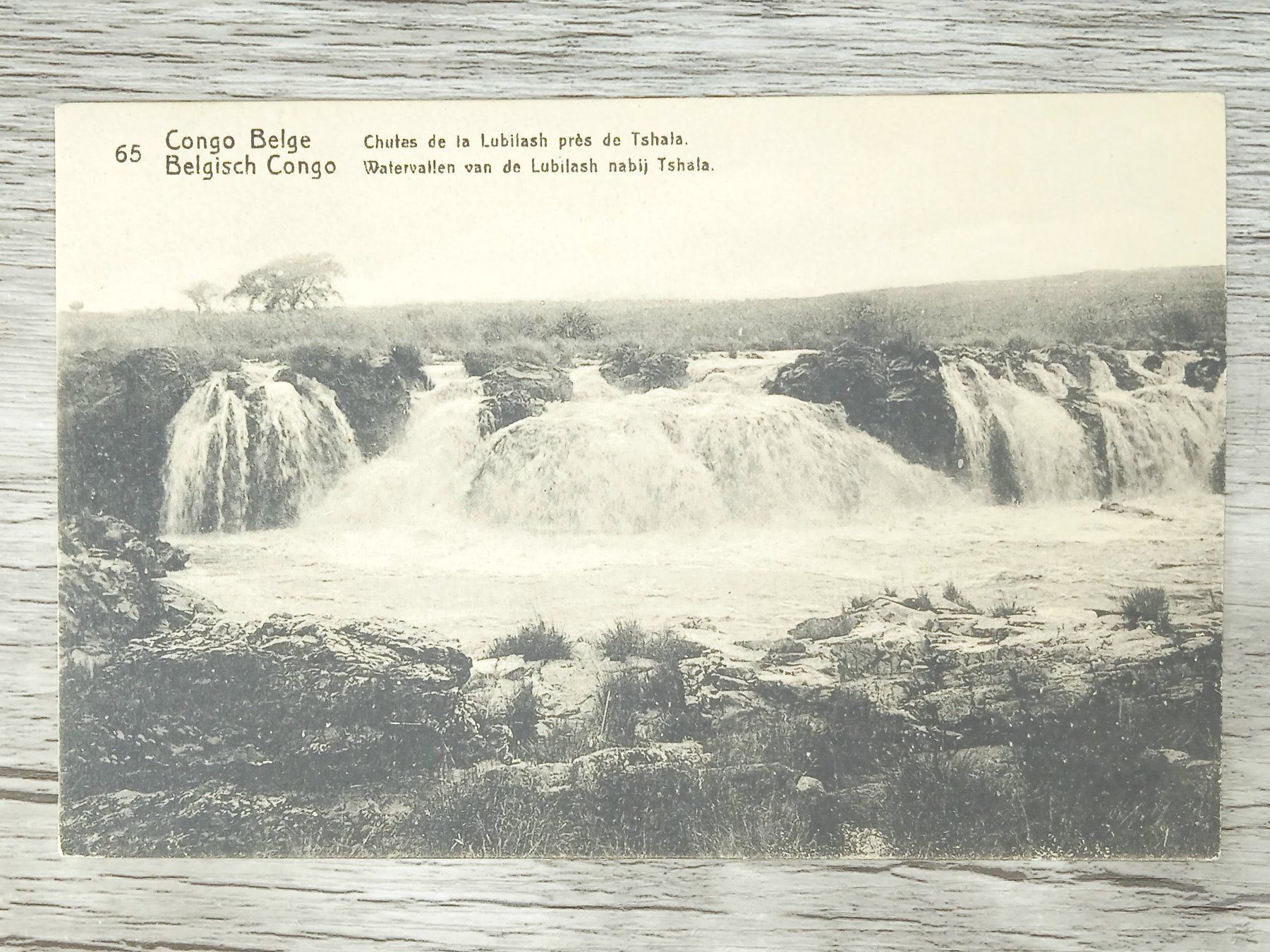 Tutti i francobolli: TR04 Carte Postale + Timbre Congo-Belge 1919/21 – Usato da Cousset venduto da Patrick_Collections