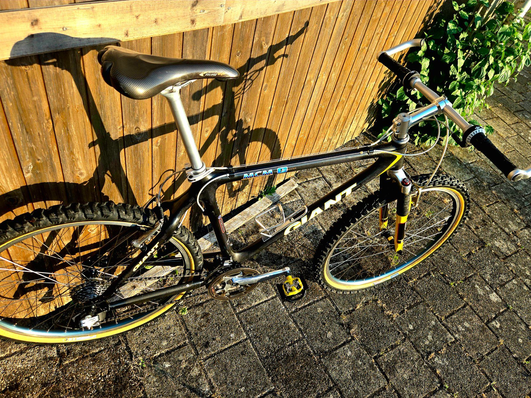 Giant Biciclette: GIANT MCM carbon MTB Retro Kult Bike – Usato da Ammerswil AG venduto da Undenheim 3