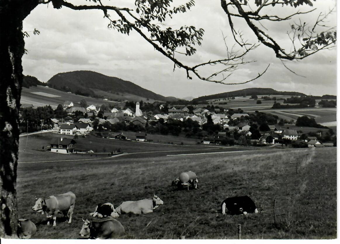 Cartoline postali: Movelier JU – Usato da Hochdorf venduto da Ziegel-16