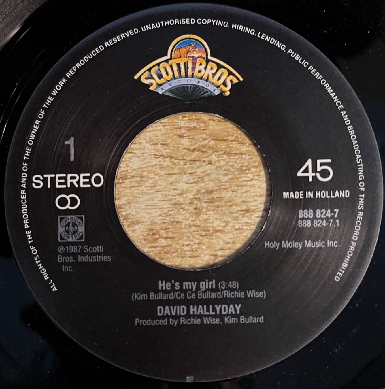 Dischi in vinile: DAVID HALLYDAY - HE'S MY GIRL – Usato da Bussigny venduto da vinyl-pas-cher 2