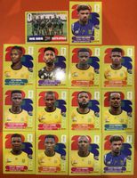 Panini Sammelbild South Africa Set Unvollständig