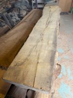 Flatterulme Bretter Stamm