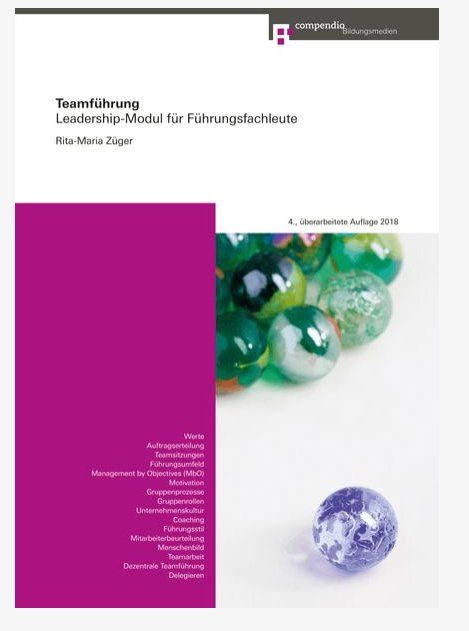 Livres: Teamführung – D'occasion à Perlen par Dragoniii