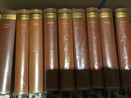 Goethe Bücher