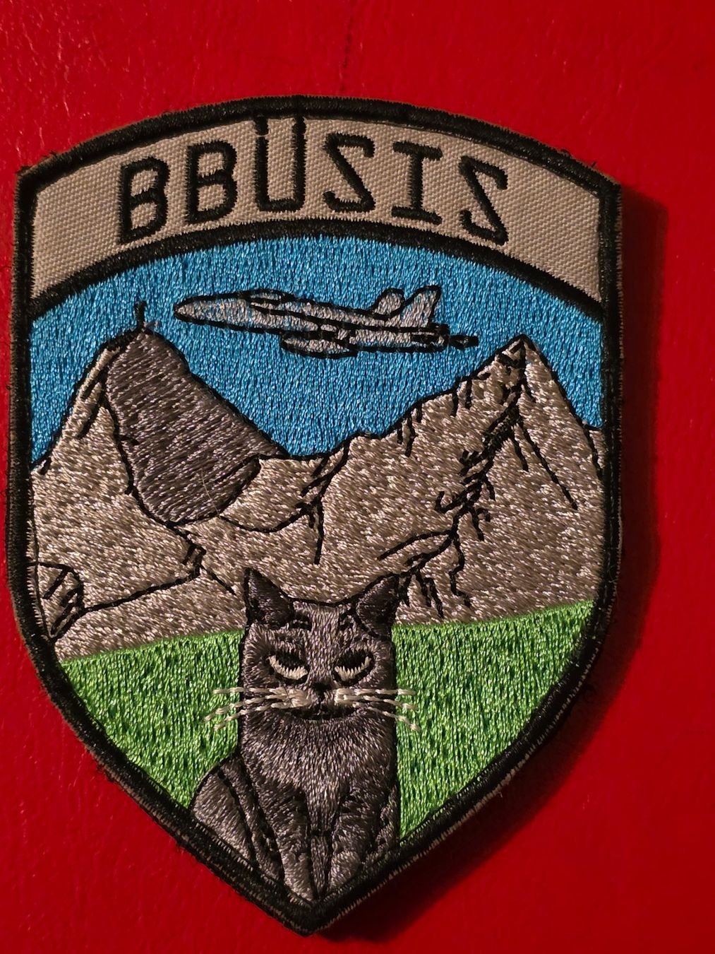 Schweizer Armee Plaketten & Abzeichen: BBUSIS  Patch - Seltenes Abzeichen Luftwaffe Klett – Neu (gemäss Beschreibung) aus Nyon von freetoys08