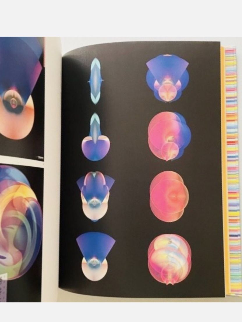 Libri: RARE! Mitsuo Katsui "visionary scape / visual horizon" 2003 – Usato da Zürich venduto da Thenerd 7