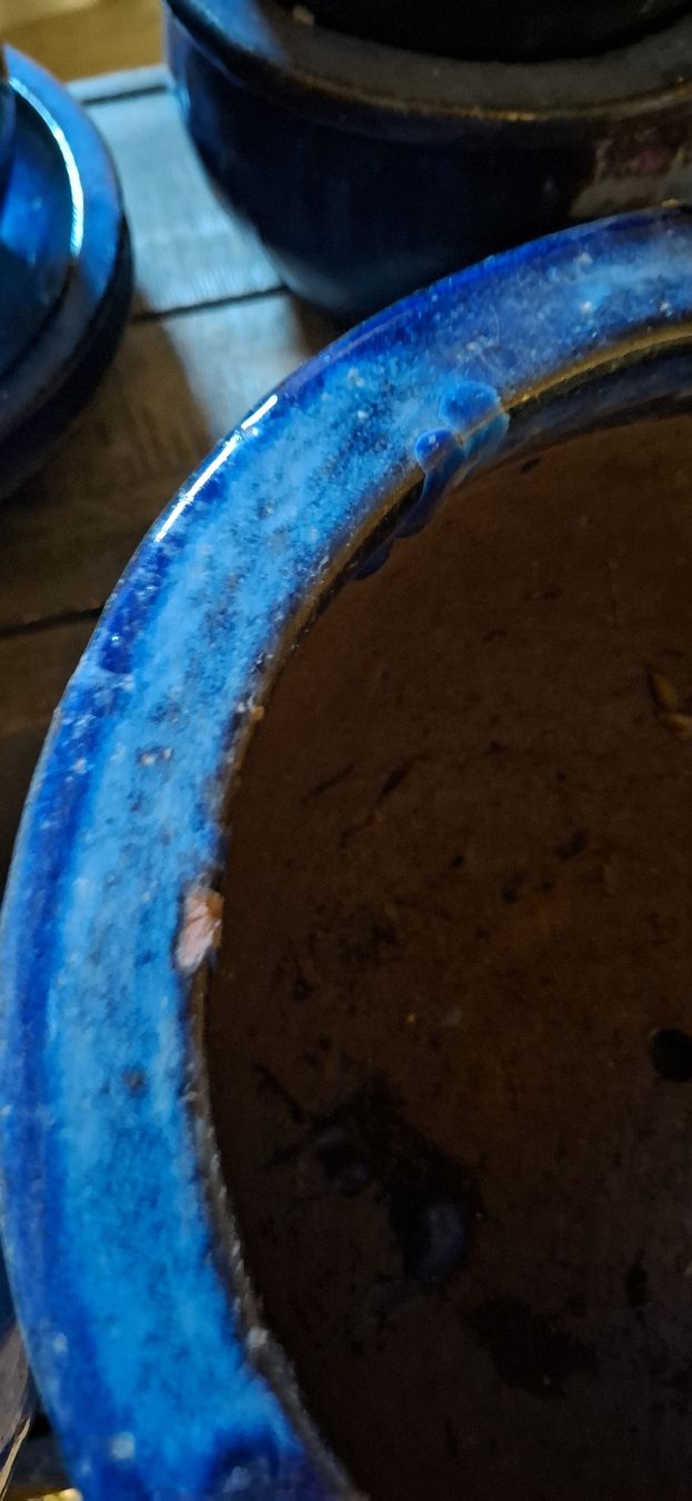 Vasi per fiori: Blauer Blumentopf Pflanzentopf ca. 22cm  3 Stück – Usato da Wichtrach venduto da Sunneblueme7 5