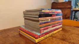 Grosse Comic Sammlung Vertigo Image Marvel Indie